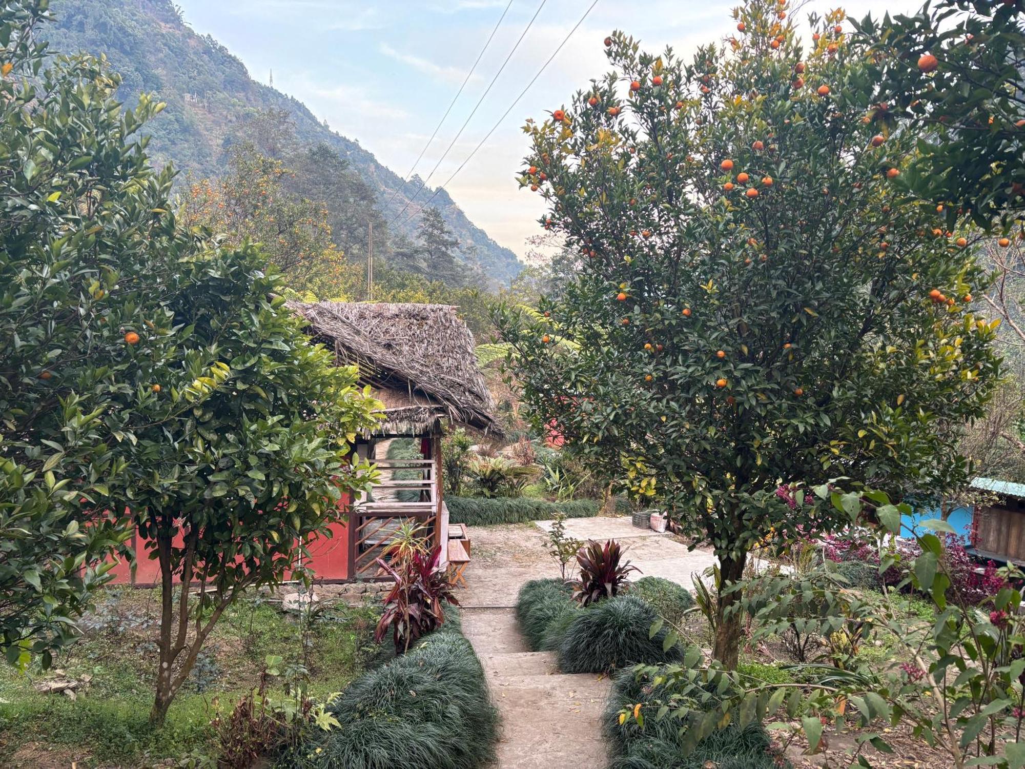 Odyssey Stays Rimbi Pelling Exterior foto